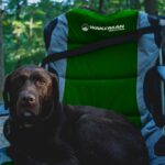Home Camping Chair with Footrest - 300lb Capacity Recliner with Cup Holder and Cooler Pouch - Foldable Chair for Tailgating by Wakeman Outdoors (Blue) - Image 5