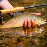 Wakeman Outdoors Fly Fishing Rod & Reel Combo Starter Kit with Case and Accessories - Image 4