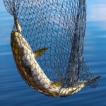 Fishing Net with Telescoping Handle- Collapsible and Adjustable Landing Net with Corrosion Resistant Handle and Carry Bag - Image 6